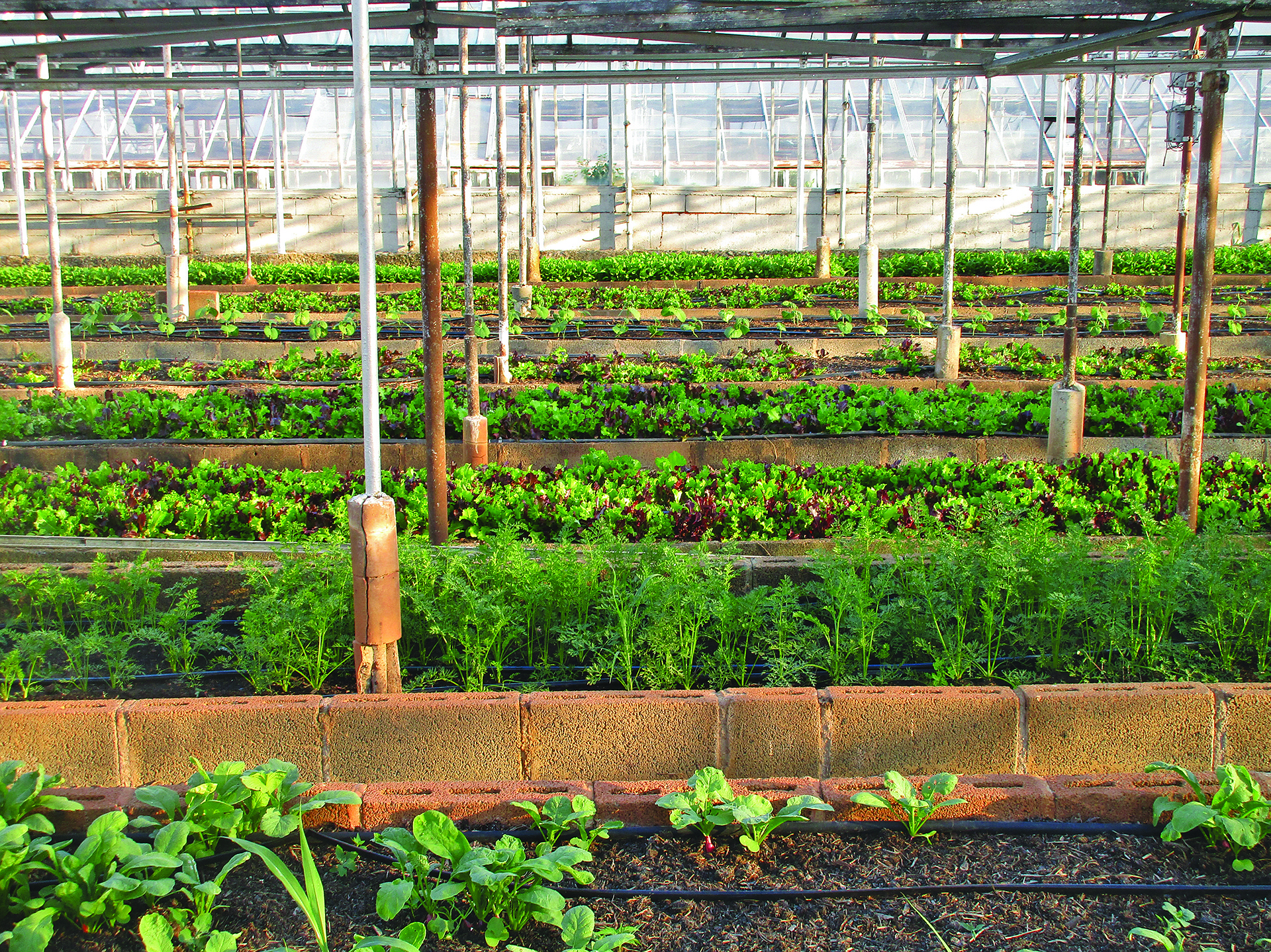 Bioprotection